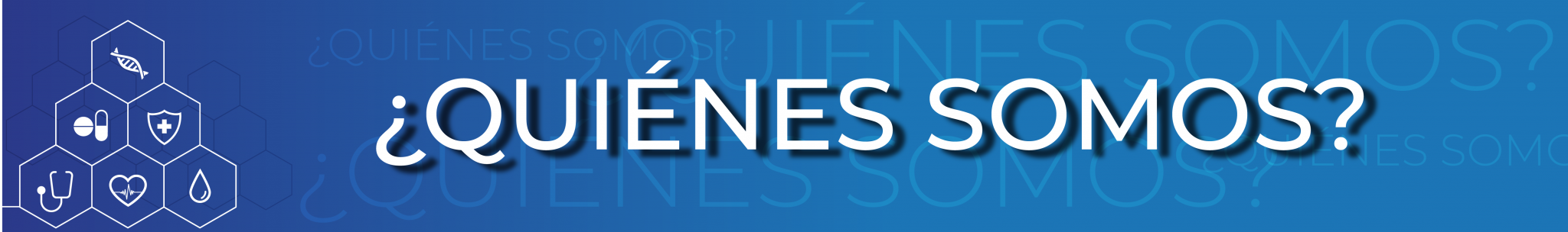 Quiénes Somos